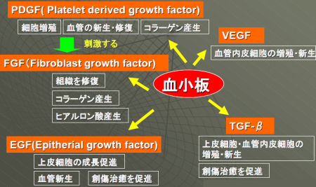 Platelets release various growth factors